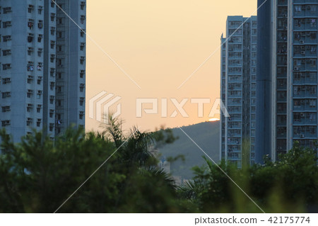 public house 42175774