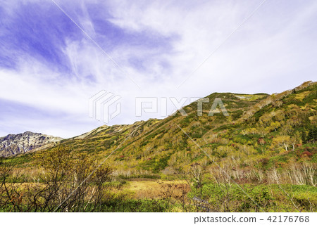 Tsugaike自然公園秋葉 42176768