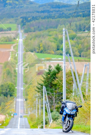 Roller coaster path 42178831