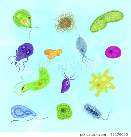 Virus vector bacterial infection virus-like illness illustration virulent bacterium set of Virus vector bacterial infection virus-like illness illustration virulent bacterium set of 42179020