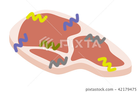 肉中的貴族 肉中的貴族 42179475