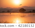 Upo的早晨 42180132