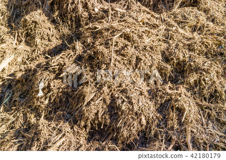 Biomass from agricultural and wood waste 42180179