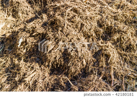 Biomass from agricultural and wood waste 42180181