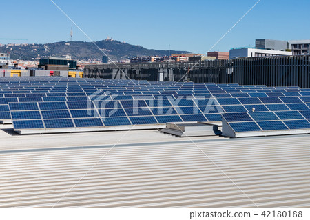 Field Photovoltaic solar production panels 42180188