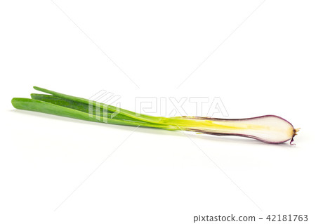 Fresh Raw green spring onion isolated on white Fresh Raw green spring onion isolated on white 42181763