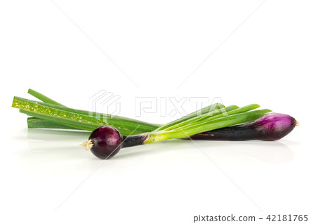 Fresh Raw green spring onion isolated on white Fresh Raw green spring onion isolated on white 42181765