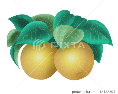 pear pear 42182201
