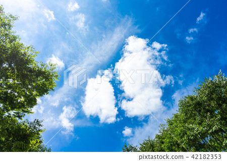 夏日的天空 42182353