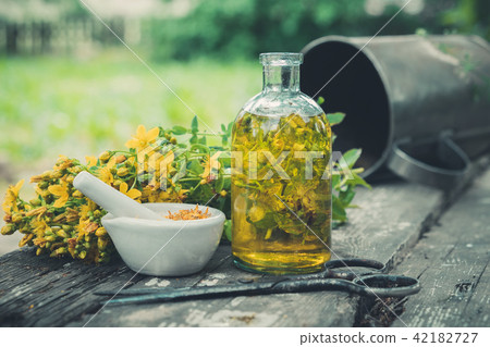 Hypericum flowers, oil or infusion bottle Hypericum flowers, oil or infusion bottle 42182727