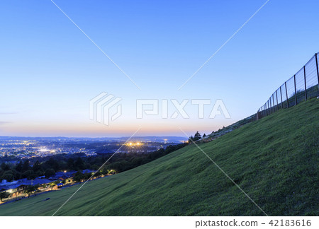 Night view from Wakakusa mountain in Nara prefecture 42183616