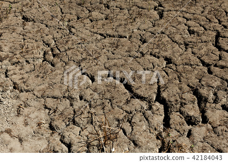 Cracked earth background texture.  Cracked earth background texture.  42184043