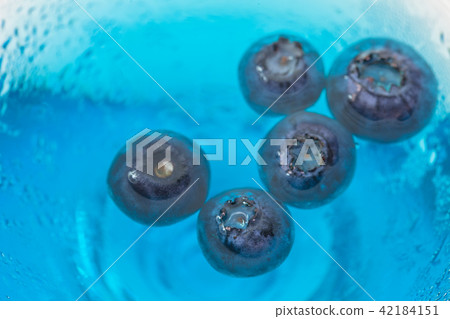 blueberry in blue water 42184151