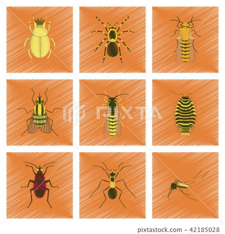 insect honey wasp soldier bug ant Araneus bee fly 42185028
