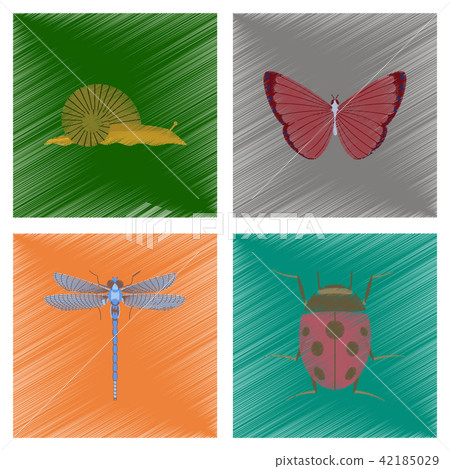 illustration snail butterfly dragonfly ladybug illustration snail butterfly dragonfly ladybug 42185029