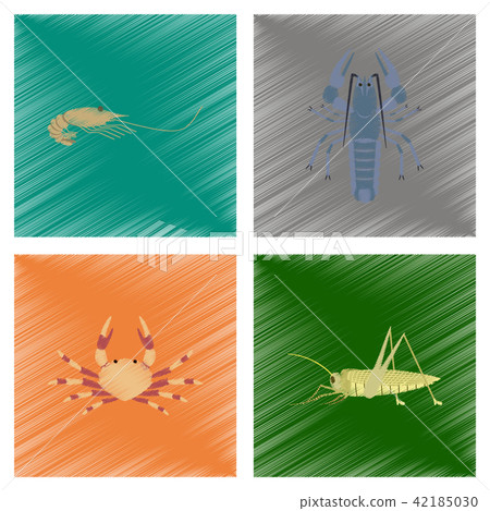 illustration shrimp lobster crab grasshopper illustration shrimp lobster crab grasshopper 42185030