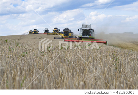 harvester machine harvester machine 42186305