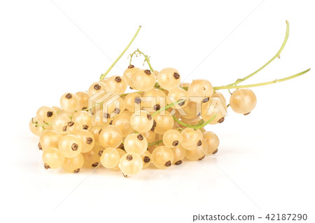 Fresh white currant berries  isolated on white 42187290