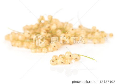 Fresh white currant berries  isolated on white 42187302