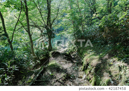 白色沙子登山路 42187458