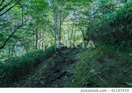 白色沙子登山路 42187459