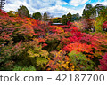 京都東福寺 42187700
