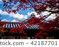 京都東福寺 42187701