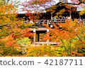 東福寺的秋天 42187711