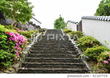 Kinkitsuki of rain Castle Town samurai house Kinkitsuki of rain Castle Town samurai house 42187759