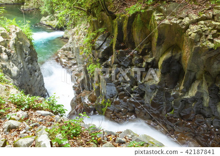 Meeting waterfall in early summer, at Kawazu Nanakitake, Kawazu-cho, Kamo-gun, Shizuoka prefecture 42187841