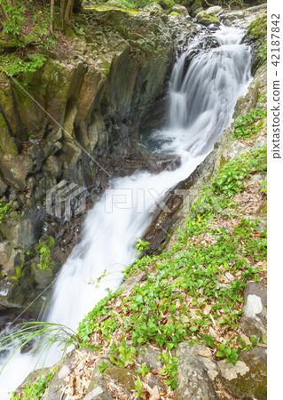 Meeting waterfall in early summer, at Kawazu Nanakitake, Kawazu-cho, Kamo-gun, Shizuoka prefecture 42187842