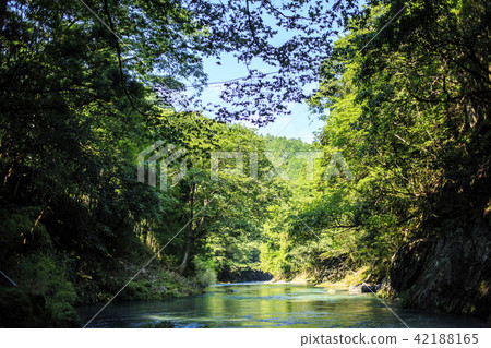 Mountain stream 42188165