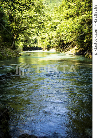 Mountain stream 42188168