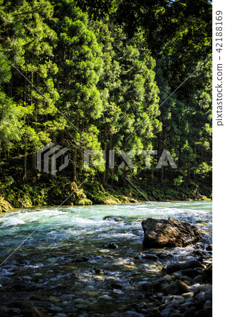 Mountain stream beautiful fresh green 42188169