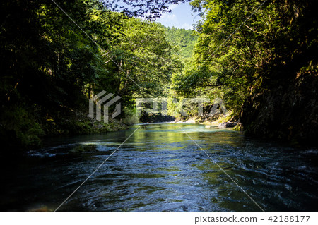 Mountain stream beautiful fresh green 42188177