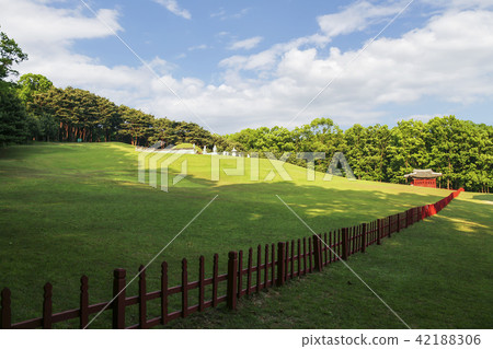 Gyeonggi-do, South Korea, Suwon, Gyeonggi-do, South Korea, Suwon, 42188306