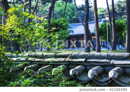 Gyeonggi-do, Korea, Suwon, Yongju Gyeonggi-do, Korea, Suwon, Yongju 42188309