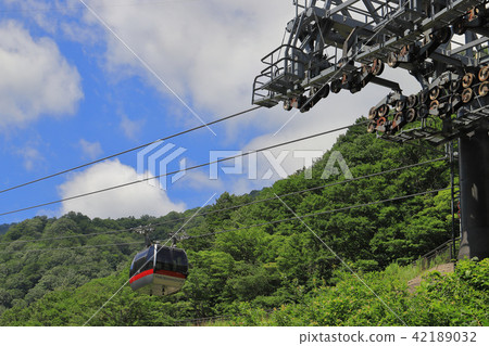 Tanigawa-dake ropeway seen from the vicinity of Tanigawadake Doge mouth station in early summer 42189032