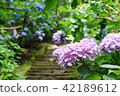 Hydrangea attendant (saltfall of Wushidou) ⑦ 42189612