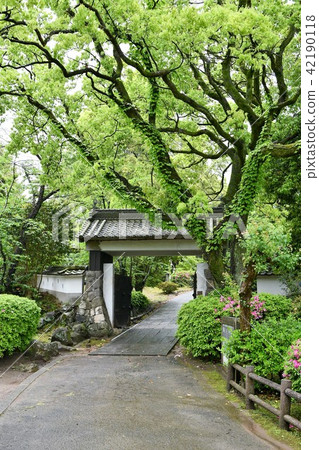 Kitsuki Castle, Samurai House Kitsuki Castle, Samurai House 42190118