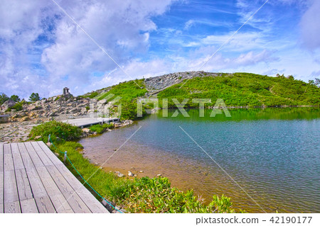 Yakubo池塘的新鮮綠色 42190177