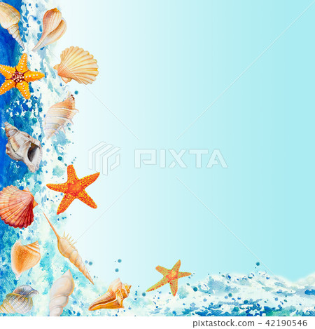 Summer sea shells collection design - Stock Illustration [42190546] - PIXTA