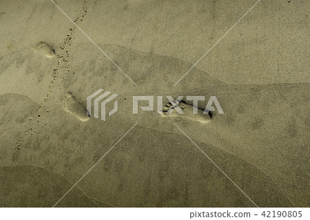Footprints of golden beach Footprints of golden beach 42190805