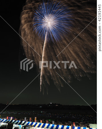 2018 Tonegawa fireworks display 42191445