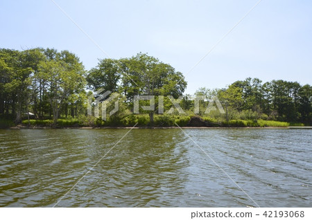 Kushiro Wetland (Hokkaido) Kushiro Wetland (Hokkaido) 42193068