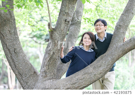 新綠色資深oshidori夫婦 新綠色資深oshidori夫婦 42193875