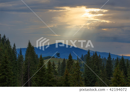 Scenery landscape view of Carpathians mountains Scenery landscape view of Carpathians mountains 42194072
