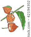 HoOzuki 42194302
