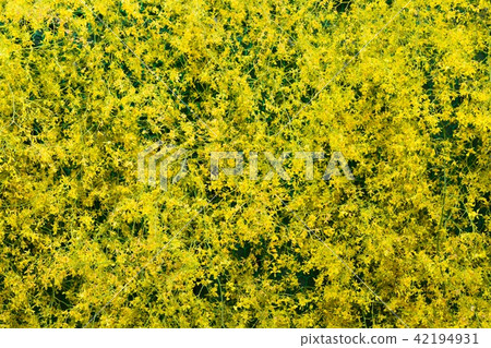 World Lan Exhibition (2015) Onshihumu 42194931