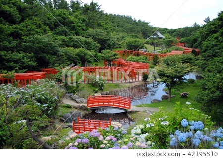 Full view of Senbon Torii Torii 42195510